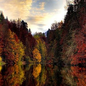 Meet your Posher, Alissa